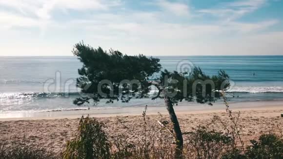 海滩场景洛杉矶加利福尼亚美国马利布海滩是加州最受欢迎的海滩之一视频的预览图