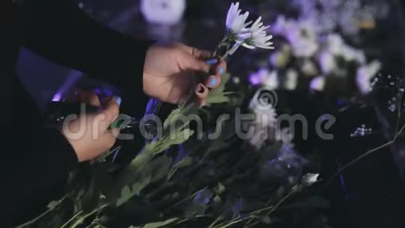 近景的女性手切花从树枝与割枝花匠用花朵做花束视频的预览图