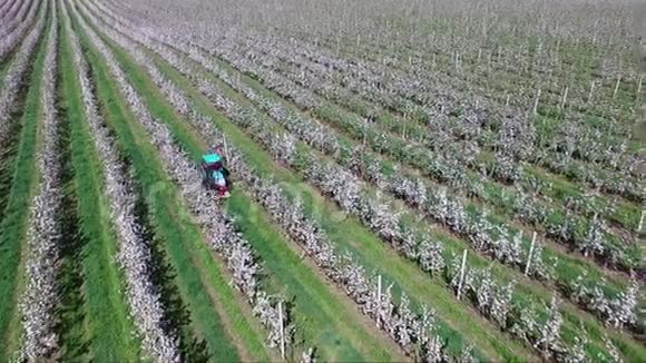 一个农民骑着拖拉机穿过他的苹果花园检查他的土地视频的预览图