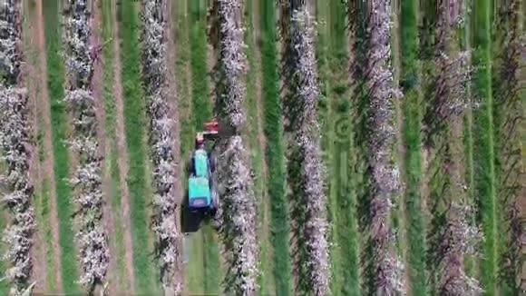 苹果田园艺农民照顾收成视频的预览图