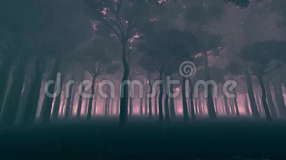 黑暗森林里的雨视频的预览图