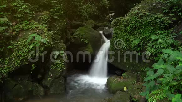 瀑布在森林中快速流动视频的预览图