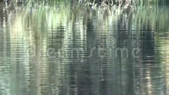 碧波荡漾的湖面视频的预览图