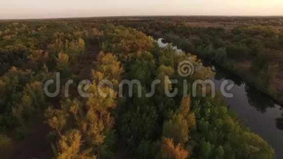 空中无人驾驶飞机飞过秋天的森林视频的预览图