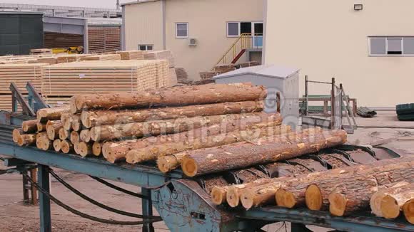 木材生产木工加工原木锯木厂的原木沿着传送带移动视频的预览图