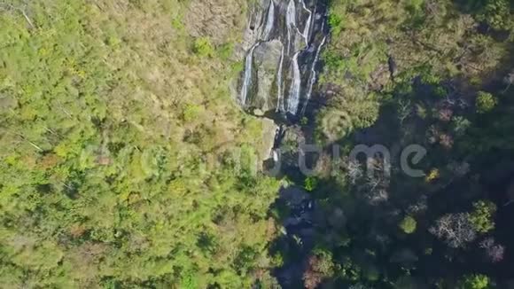 沿着峡谷的Flycam鸽子和在茂密丛林中的河流梯级视频的预览图