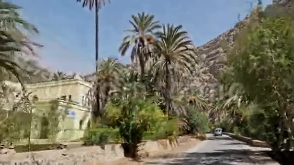 摩洛哥棕榈谷FHD视频的预览图