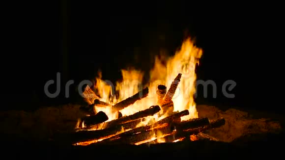 在晚上燃烧野营火视频的预览图