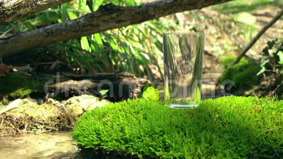 空的玻璃站在苔藓的岩石上有一朵小花弹簧流在软关注背景纯净的生态水视频的预览图