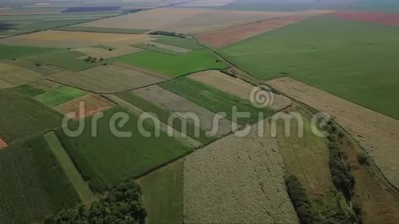 无人机拍摄的绿色农田视频的预览图