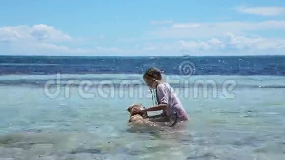 在海滩上和狗玩耍的女孩视频的预览图