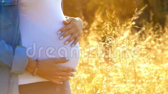 美丽的孕妇在夏日的自然草甸与夕阳视频的预览图