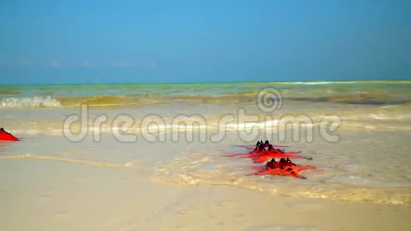 如果一只红海星躺在海滩上特写镜头背景上的蓝色波浪照相机慢慢地移除波浪和红星视频的预览图