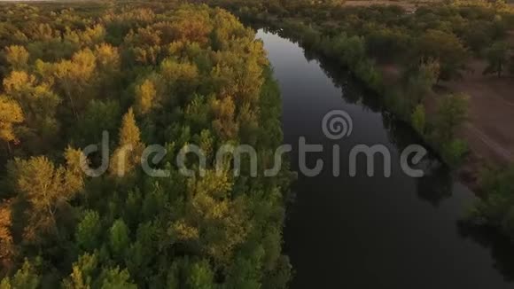 空中无人驾驶飞机飞过秋天的森林视频的预览图