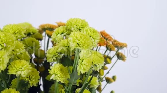 特写花花束白色背景上的旋转花由绿色和橙色的桑蒂尼组成视频的预览图