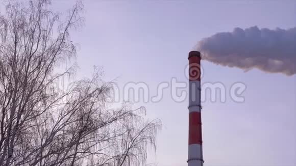 背景天空和光秃秃的树木上的热电站工业烟囱视频的预览图