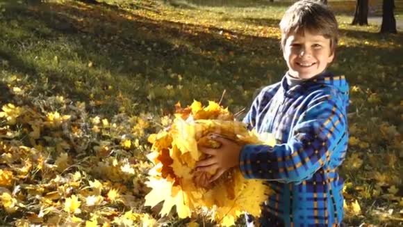 微笑的男孩向阳光明媚的公园扔秋叶视频的预览图