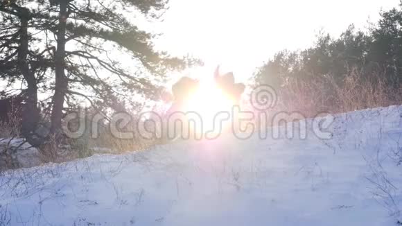 冬天的一天妈妈在森林里慢慢地在雪地里和儿子玩耍视频的预览图