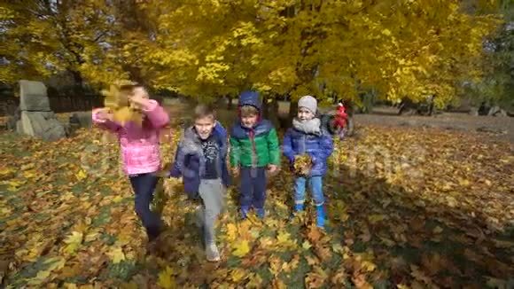 秋天一群孩子在公园里玩黄叶视频的预览图