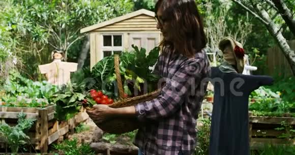 成熟的女人拿着一篮子蔬菜视频的预览图