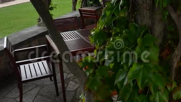 米罗克别墅的餐厅在紫藤树下视频的预览图