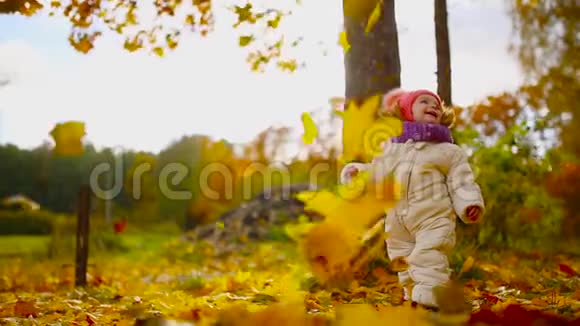 穿着秋装的小女孩戴着暖和的帽子和围巾站在公园里看着黄叶从视频的预览图