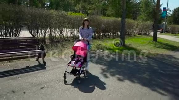 年轻的母亲带着婴儿车在公园散步视频的预览图
