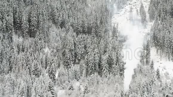 白雪皑皑的冬林树木纹理烟囱烟雾视频的预览图