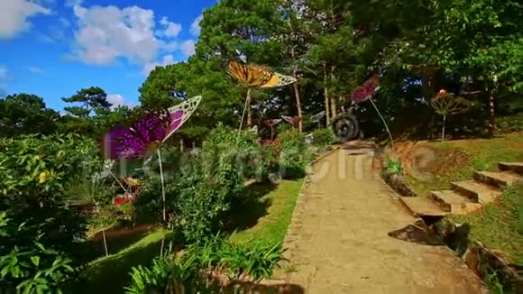 热带公园人工蝴蝶在植物间漫步视频的预览图