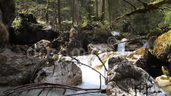 水在宁静的小河中流淌视频的预览图