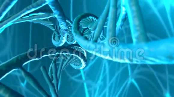 DNA结构视频的预览图