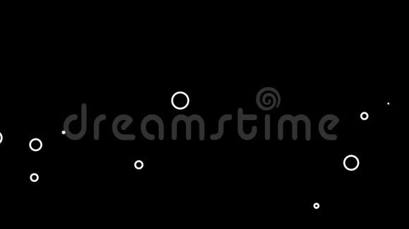 黑色背景上的动画白圈视频的预览图
