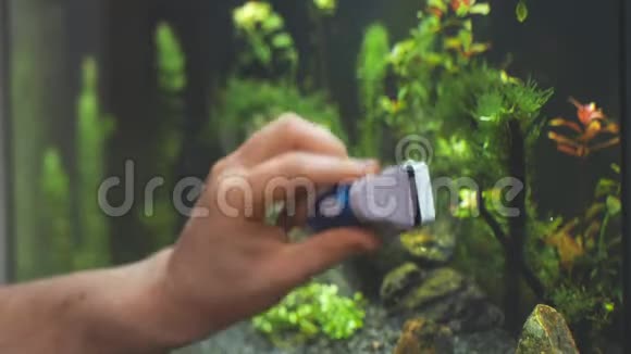 男性手清洁水族馆视频的预览图