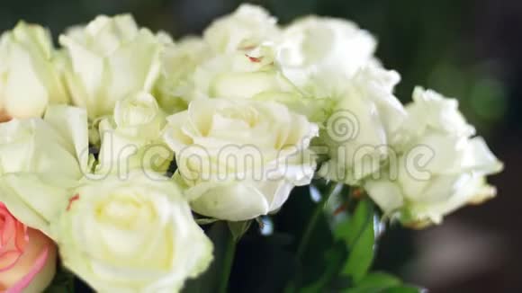 特写花束在光线的照射下旋转花组成由白色玫瑰组成背景资料视频的预览图