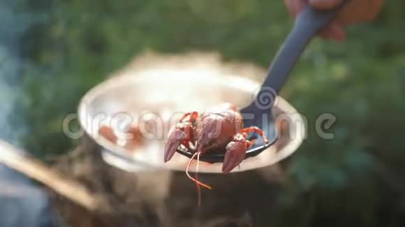 小龙虾在水中用香料和草药烹饪热煮小龙虾龙虾特写视频的预览图