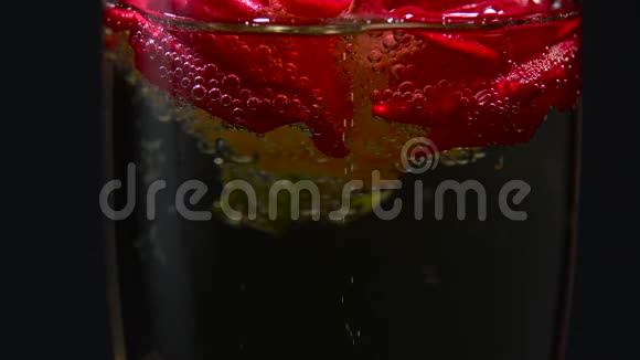 红玫瑰的花蕾躺在一杯香槟里黑色背景关门视频的预览图