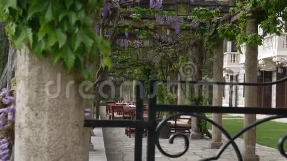 米罗克别墅的餐厅在紫藤树下视频的预览图