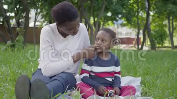 肖像可爱的非裔美国妇女坐在毯子上她的小儿子在公园里玩玩具这就是视频的预览图
