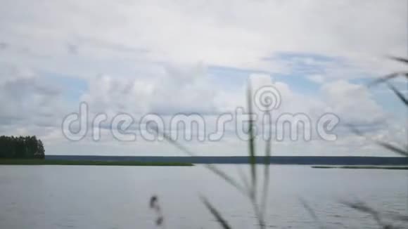 美丽的夏日风景在一个湖上前景是云和草时光流逝4K3840x2160高清高清视频的预览图