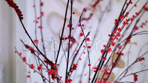 在暮色中在白色的背景上在徘徊的光线下树枝上有猩红的浆果装饰元素视频的预览图