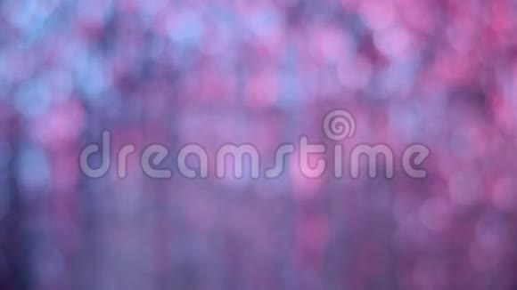 粉红色和蓝色的bokeh灯在移动背景照明视频的预览图