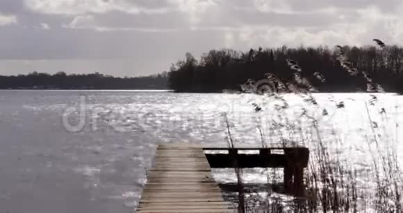 湖中芦苇随风飘动的木栈桥视频的预览图