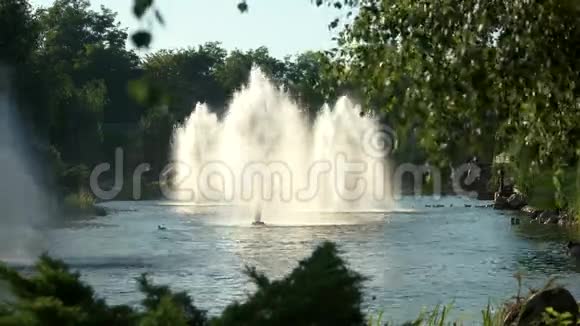 喷泉自然和房子视频的预览图