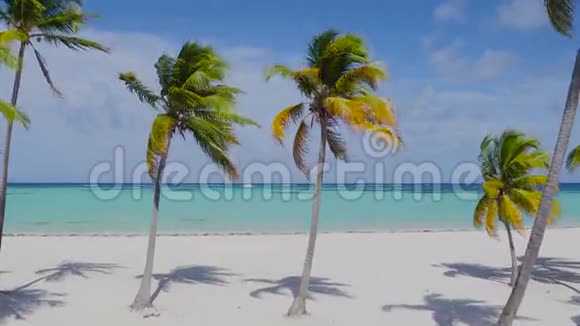 在奇异的白色沙滩上飞翔满是奇异的茂盛棕榈树面对着美丽的绿蓝色泻湖视频的预览图