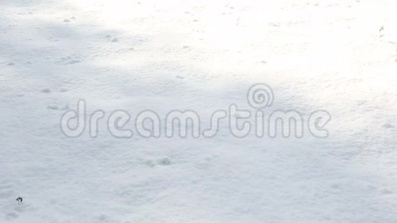 穿雪的女人特写镜头视频的预览图