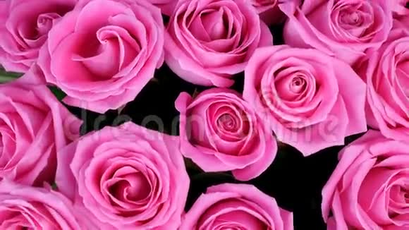 特写从上面看花花束白色背景上旋转花组成由粉红色玫瑰组成视频的预览图