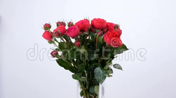 花花束在白色背景上旋转花的组成由玫瑰形波尔多组成视频的预览图