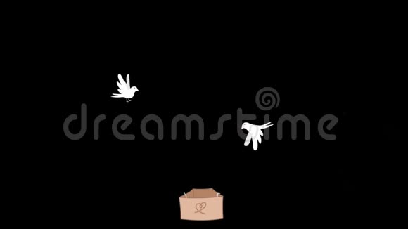 动画白鸽提升粉红文字爱与黑色背景视频的预览图
