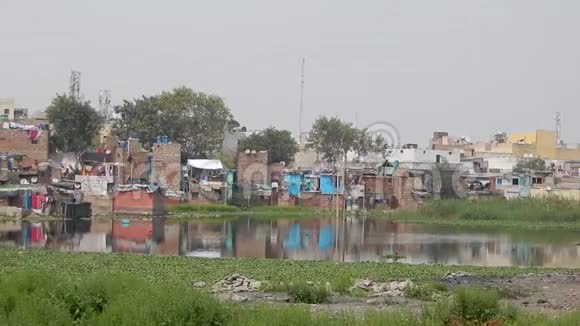 印度德里贫民区的一个脏湖视频的预览图