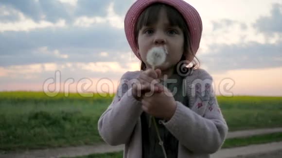 可爱的女孩肖像在公园玩耍吹蒲公英慢动作女孩子吹在吹球花快乐视频的预览图